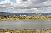 Vendicari nature reserve
